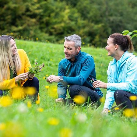 Gesundheits- & Wellnessresort Salzerbad Kleinzell Экстерьер фото